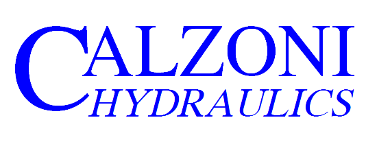Calzoni Logo